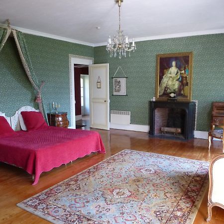 Chateau De La Voute Trôo エクステリア 写真